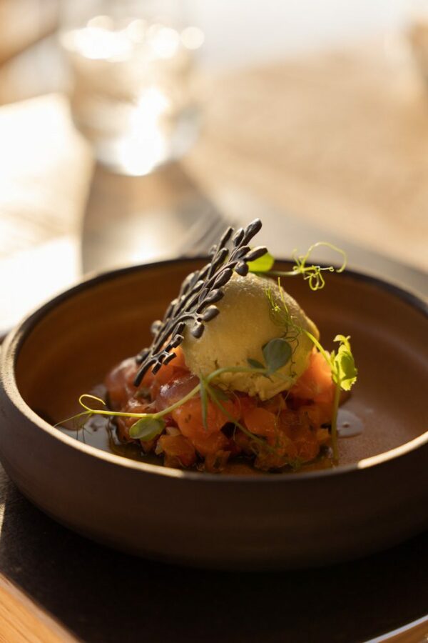 plate of gourmet food at a restaurant