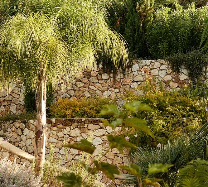 trees at an outdoor patio of a luxury retreat